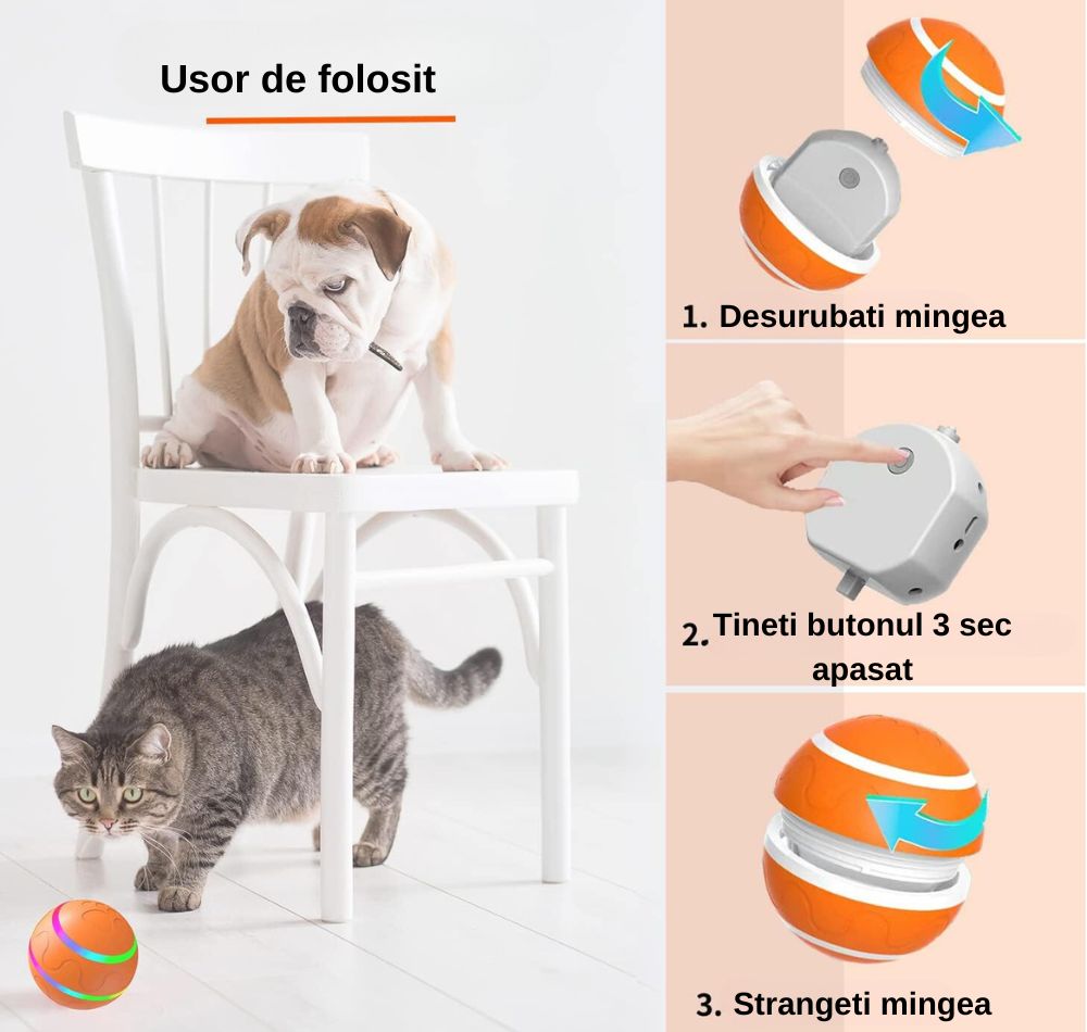Minge Catei Smart