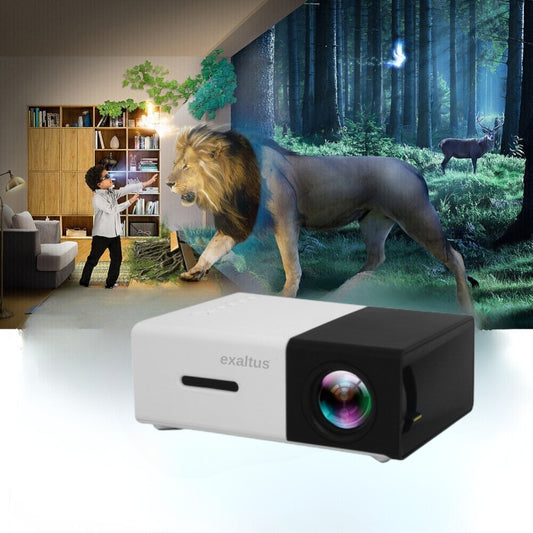 Videoproiector cu Difuzor