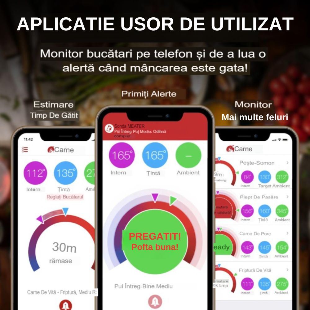 Termometru Smart