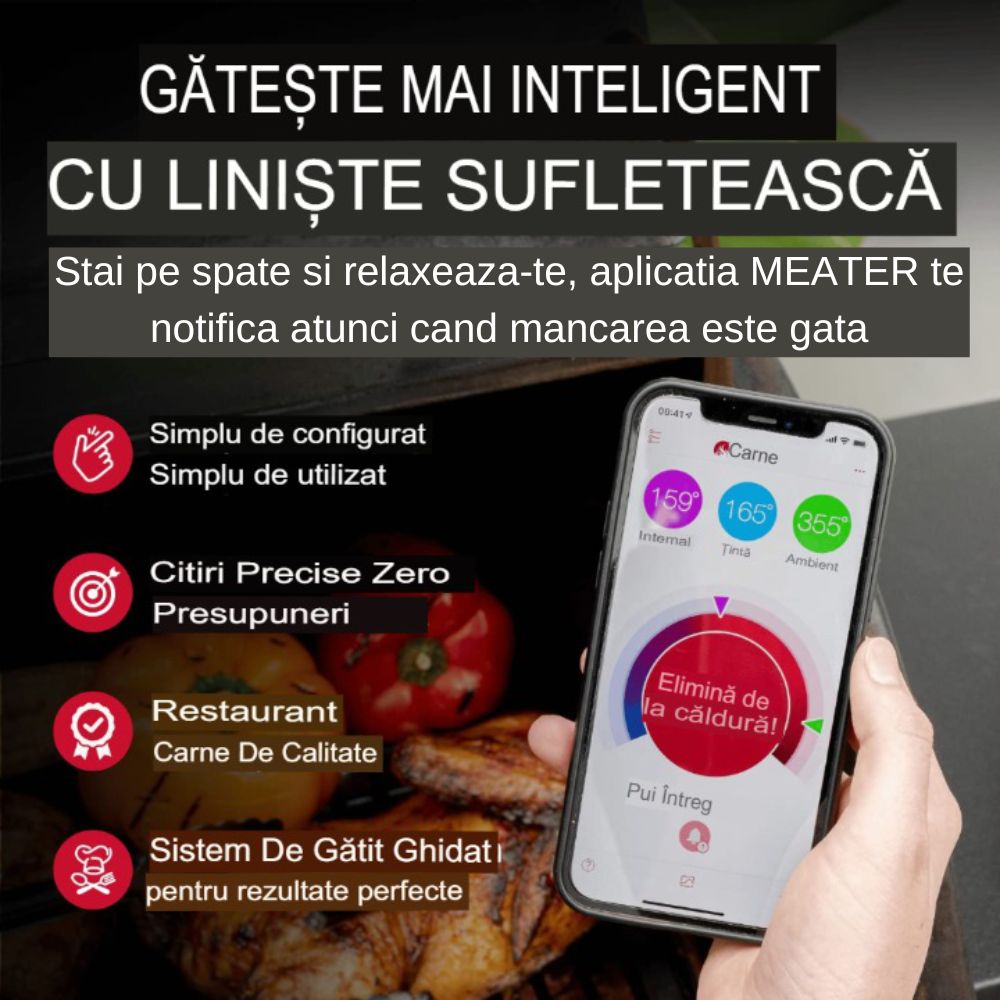 Termometru Smart