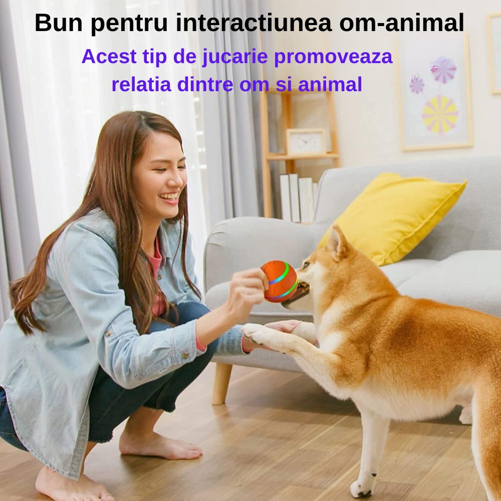 Minge Catei Smart