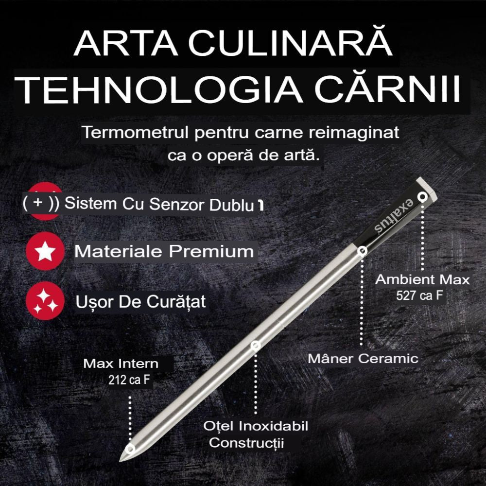 Termometru Smart