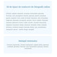 56 tipuri de traducere foto online