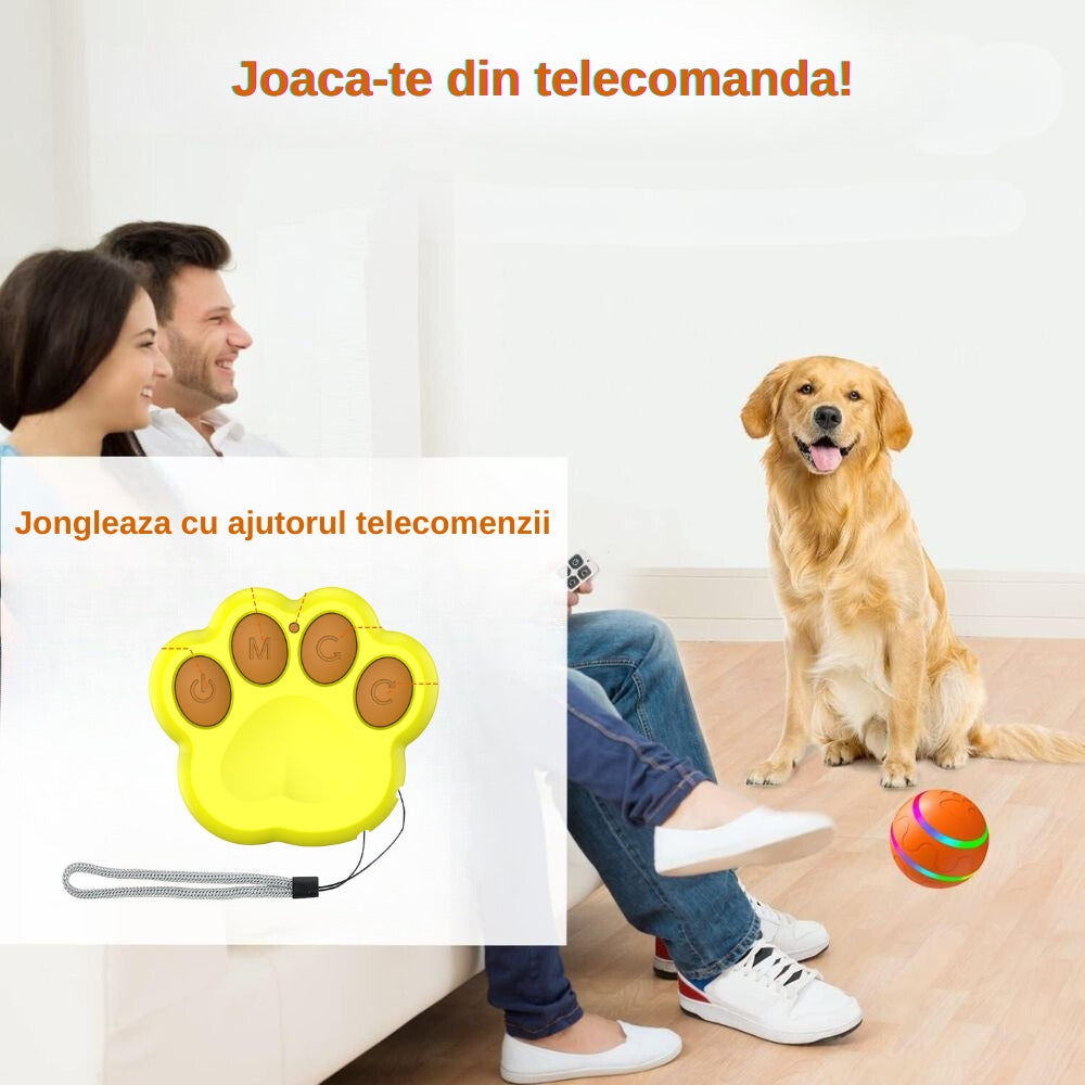 Minge Catei Smart
