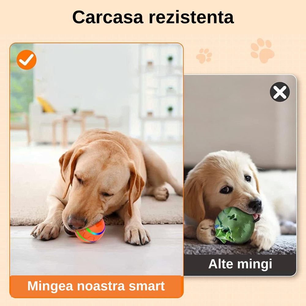 Minge Catei Smart
